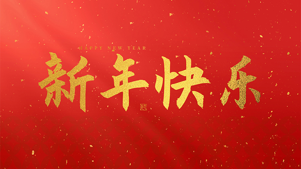 麗水市威儀自動(dòng)化技術(shù)有限公司祝全國人民2025新年快樂！